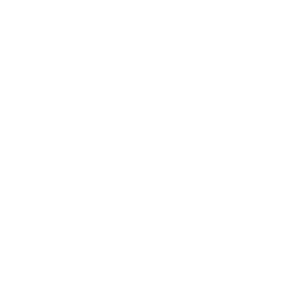 Car logo