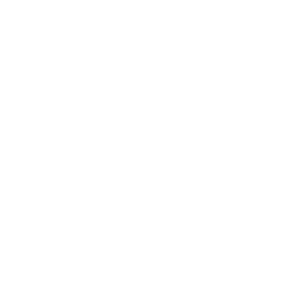 iva logo